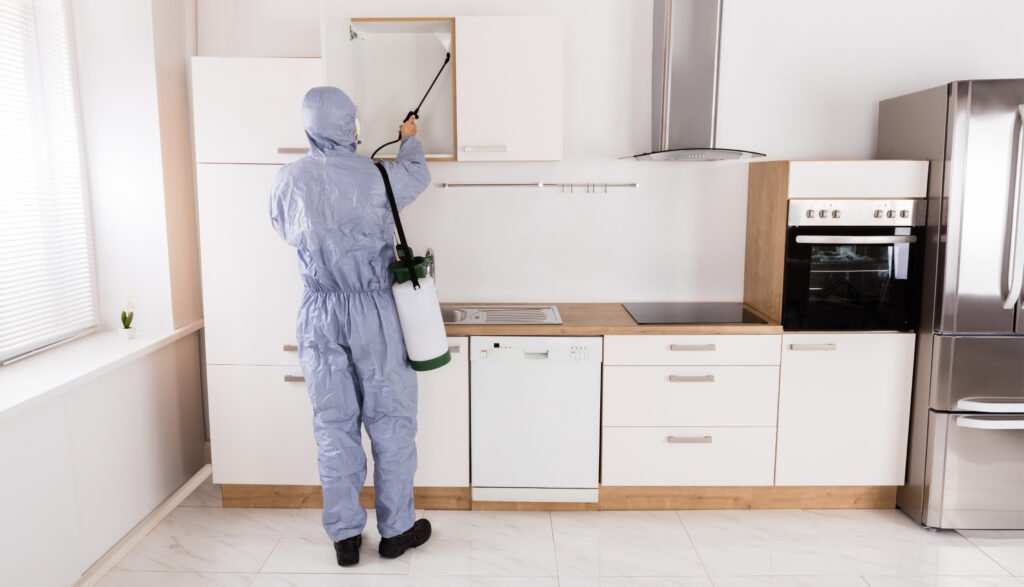 Infrabilld - Anti-Termite Pest Control